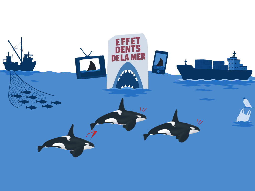 Les requins deviennent-ils des orques ?